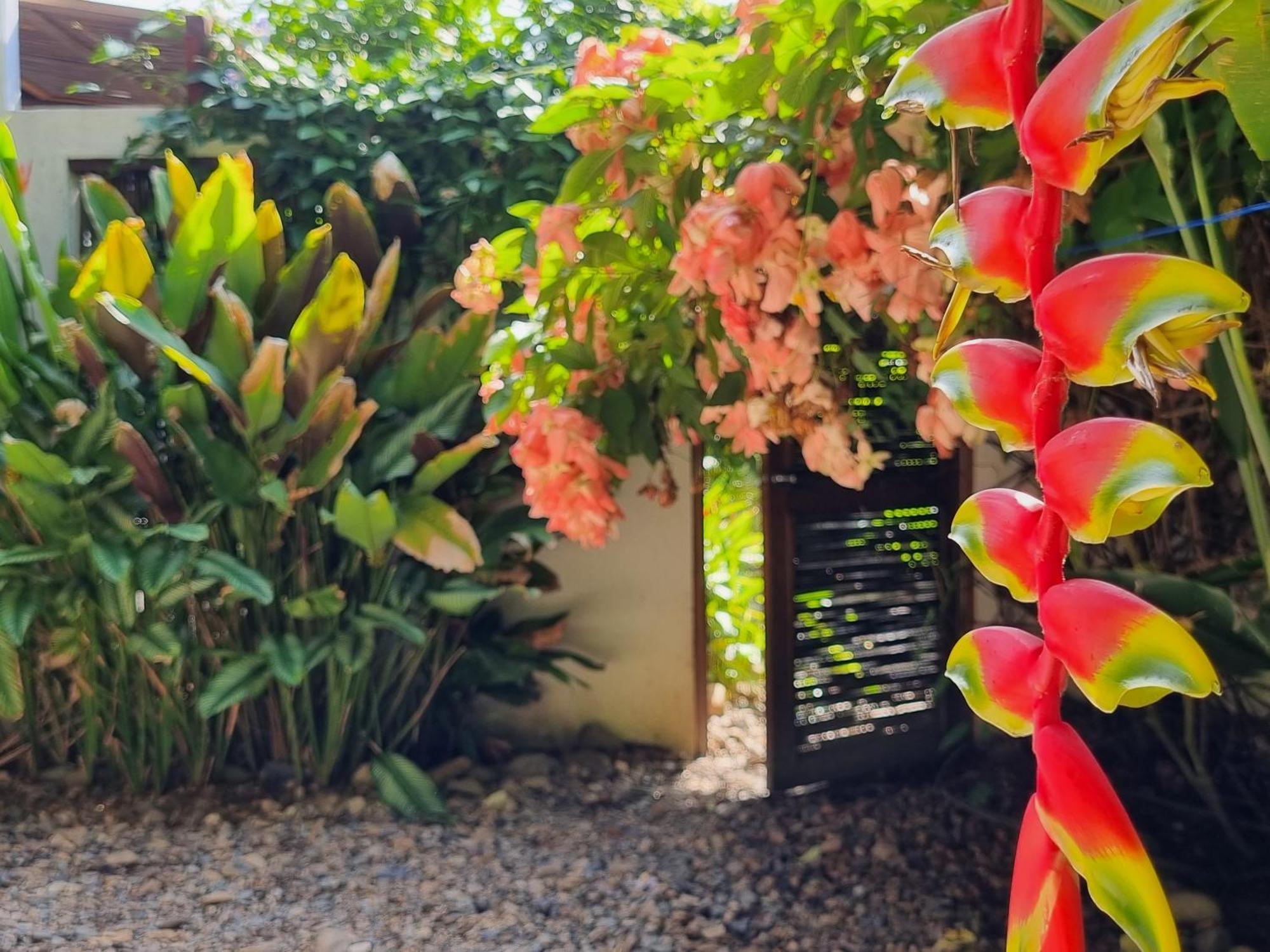 Villa Casas La Floristeria Palomino Esterno foto